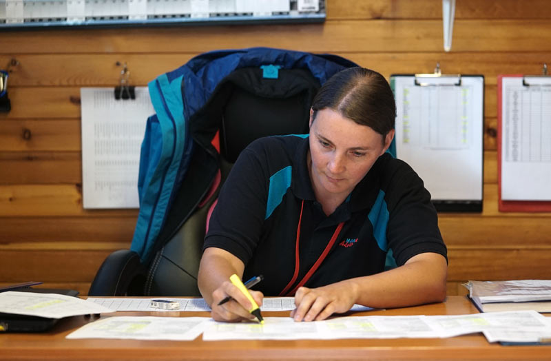 Chief Instructor job role